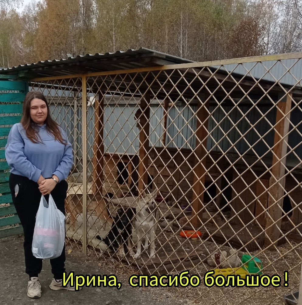 _0HfL7IoOqnUreZAN7pJeZrfI0jwwz_ukPviokQV