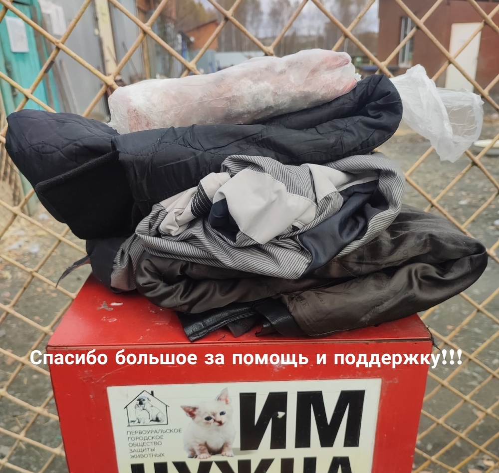 UrKauCanlBtOXD7N9t5GOVKZn01JcF1mmXYsDnk8