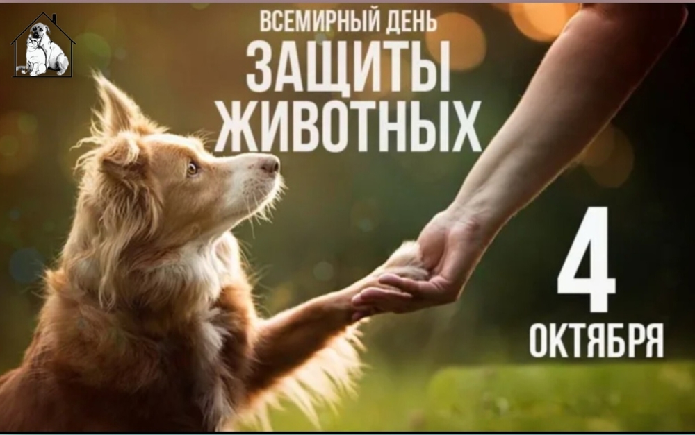 qtiVrIQV-8wdEKiga0nLZukxnzZ2Vy5KahIO4jwk