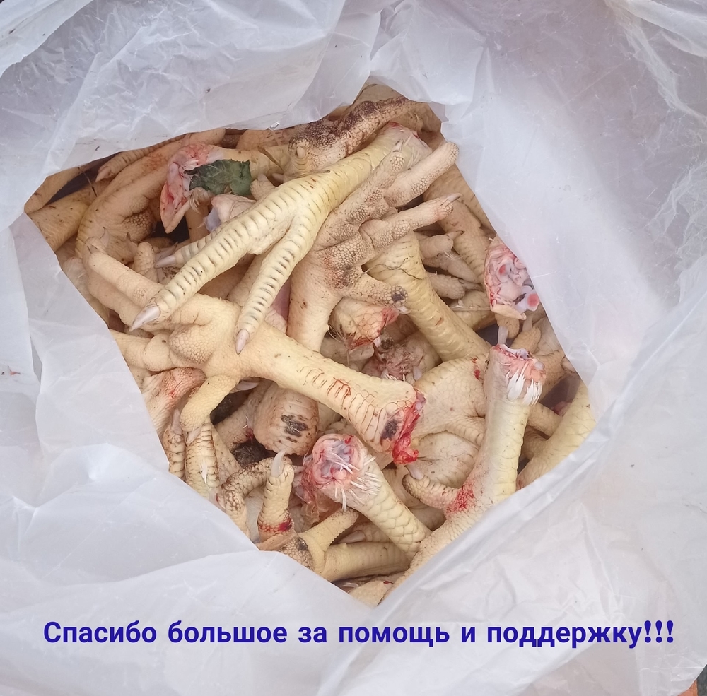 qE7QgAjB7muj3TXBWCXAWcov0DnS-kq--L9ViO_y