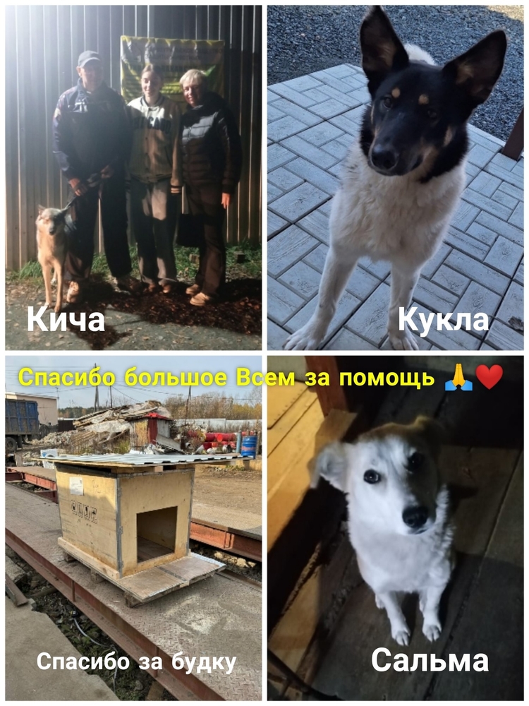 zAuFvRe_SOA0v-5j8X-wcgVau2wKkqUK3FJI-vn_