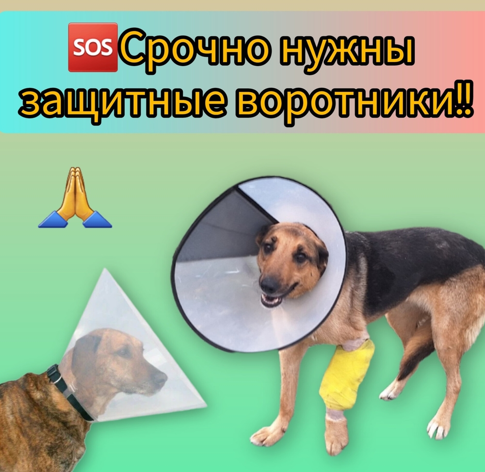 yqAoEyQBlawNeWpa1_q71bcJkT62rqyoBTNl-6Va
