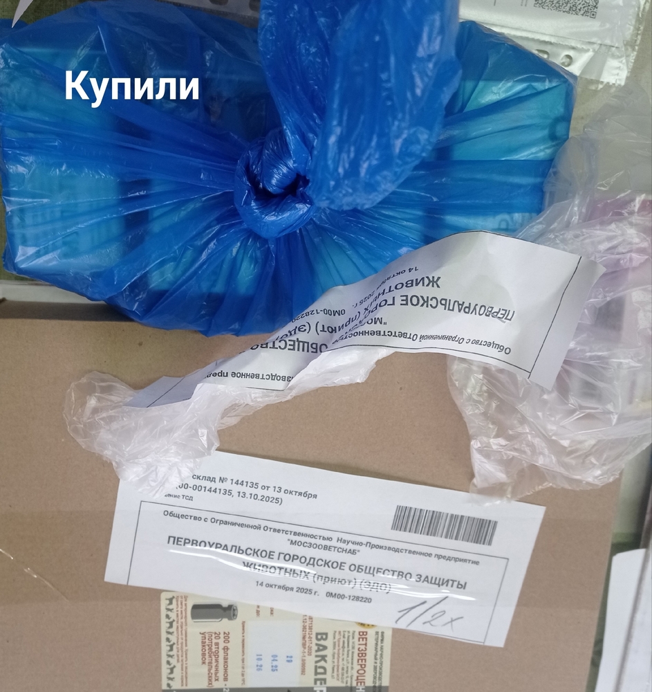 VGNDG90RDDLtlZOjvcXN99AhaoElv-AkdMn7aaa8