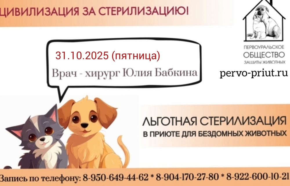 ZDE6W61_wQ5E6OMkfInS3PhCt0bsrP389WC6Br-i