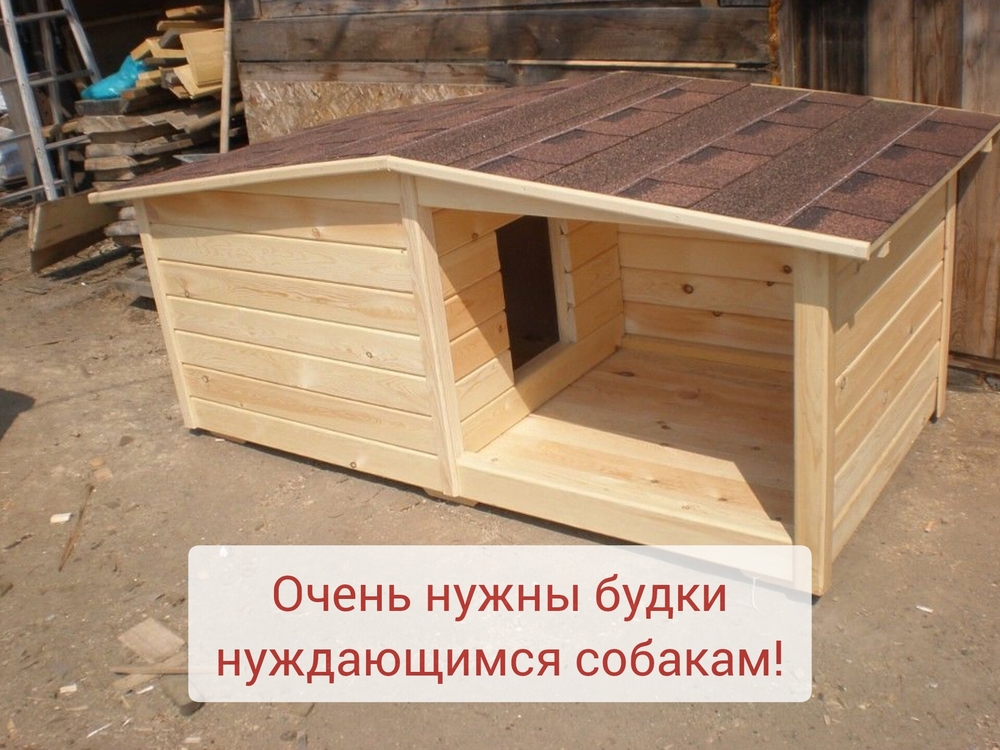 IvZJBNXCgxWJzK5CbbjiQaTR2Nm0rBeZ3yUrmoiH