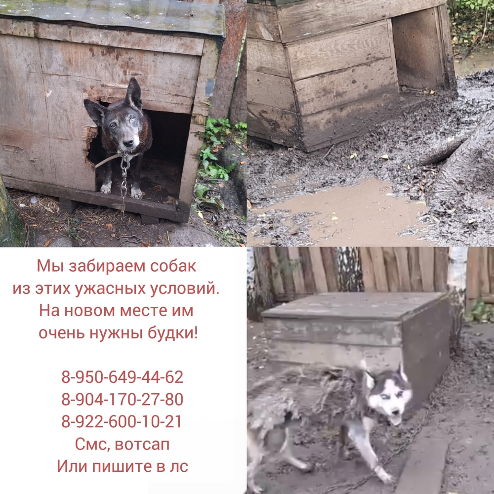 nJ0PjPiWTxOP8L-F8mEs2r5FsBQ78NHc94T-ZxKI