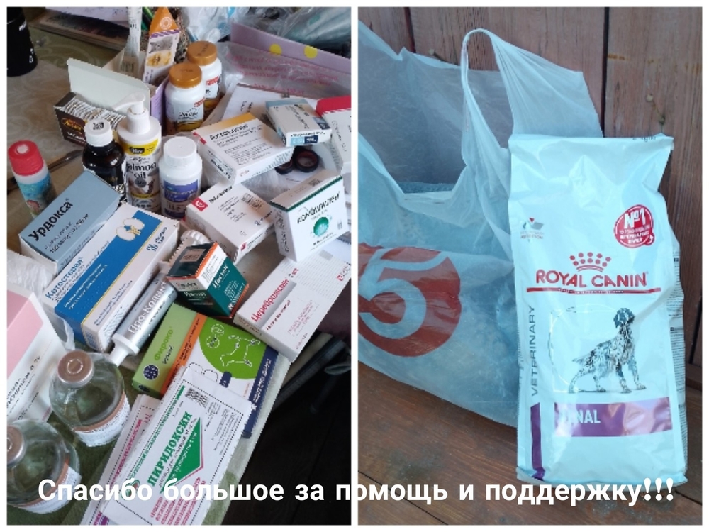 FVkPETyKMJI4I5ldOASDNC5nQgmE5FVl_AY4hoHj