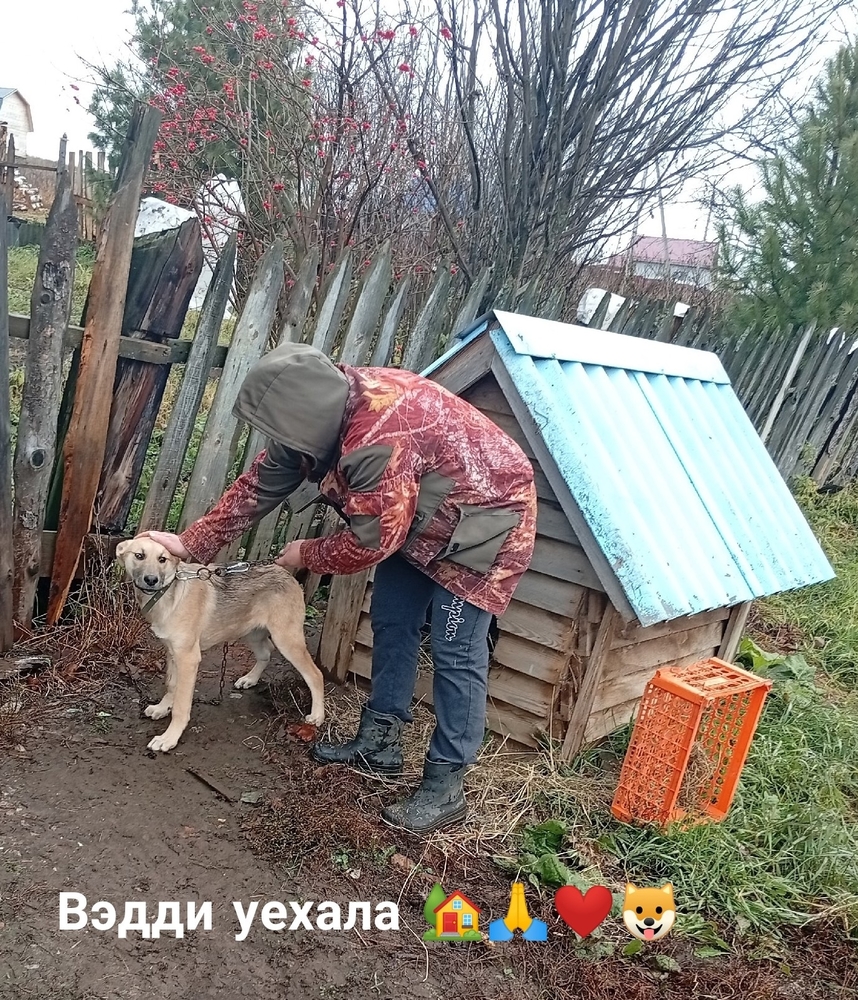 iJE06Js53w46lQDeRoTHevIog-6yr4buPReWyRp_