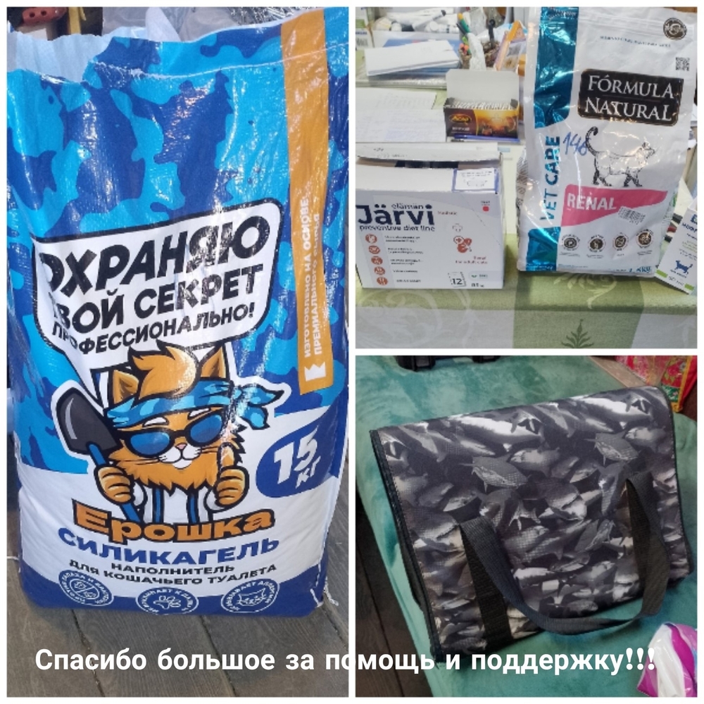 kglRrNc08yna7zjAXsxXBcESmaYp628i7qtznpZj