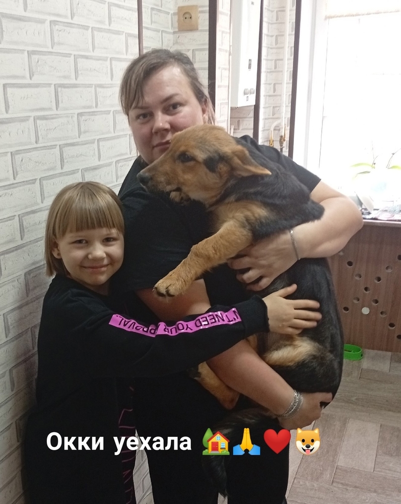 4x12PQylDloh8xsR5OVCQ3jpc7MYvYSH9gZHfaR-