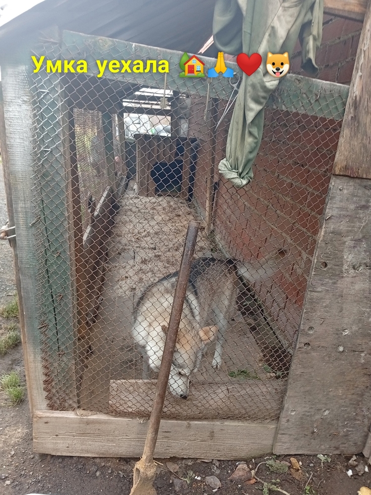 dGTrZa2xN9JybWtnNTZV0QUzauk_kureNSD5OEqV