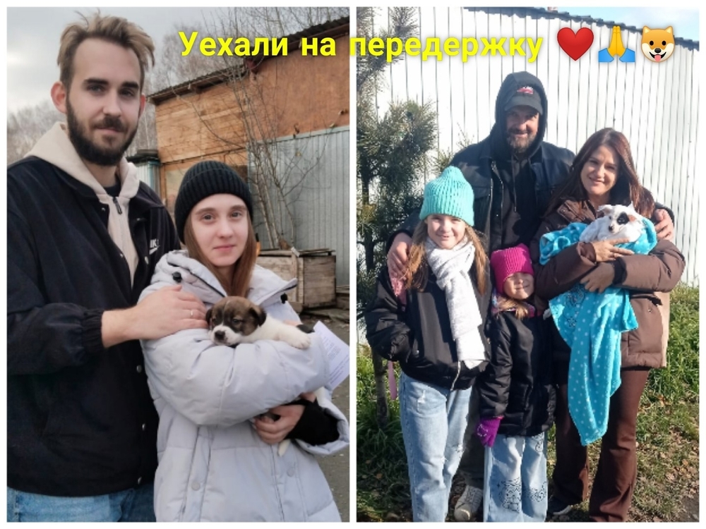 mYvE28TMLWOR9uqZOKns0VdPfy3h5yzK9i_98n4e