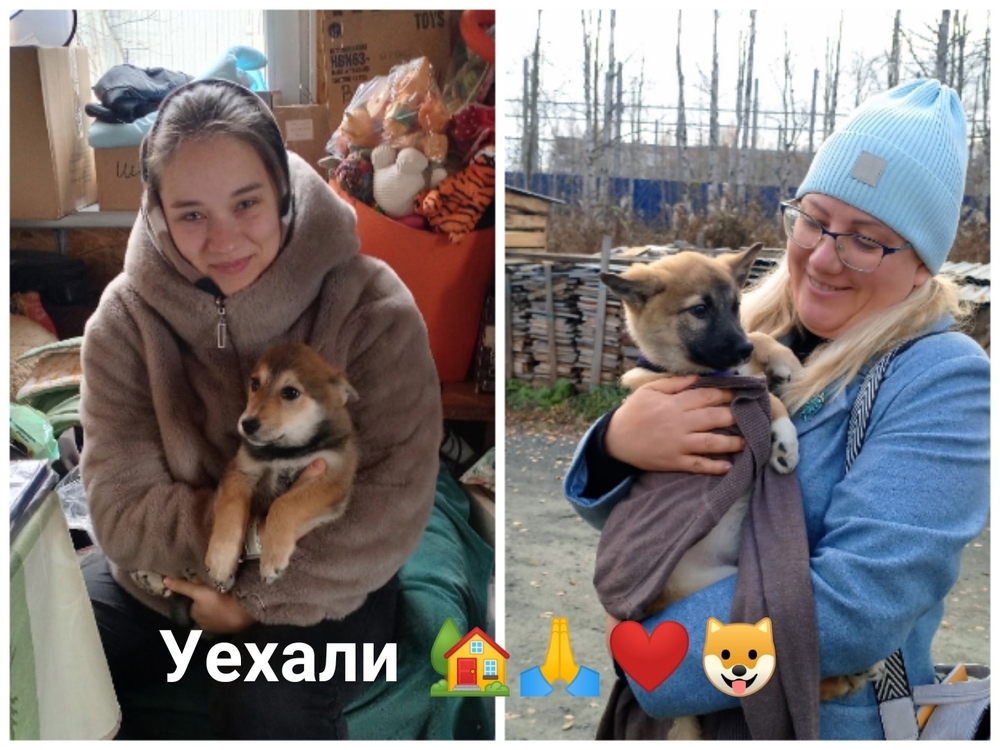 UsJCVDnWfX6C2txA_XSihhGwcyVeZuhBkvu84Xz9