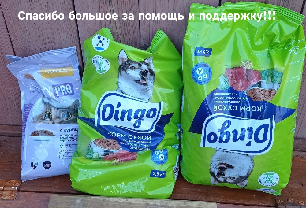 ltZOG3_mte1TdXXbZDvW7-lJgGWIDNoP6qHvyqKe