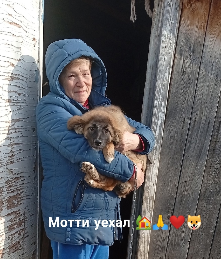 r81s91ev4U6KMfPFtTWX4dlFzSmtTofyqABU2lI-