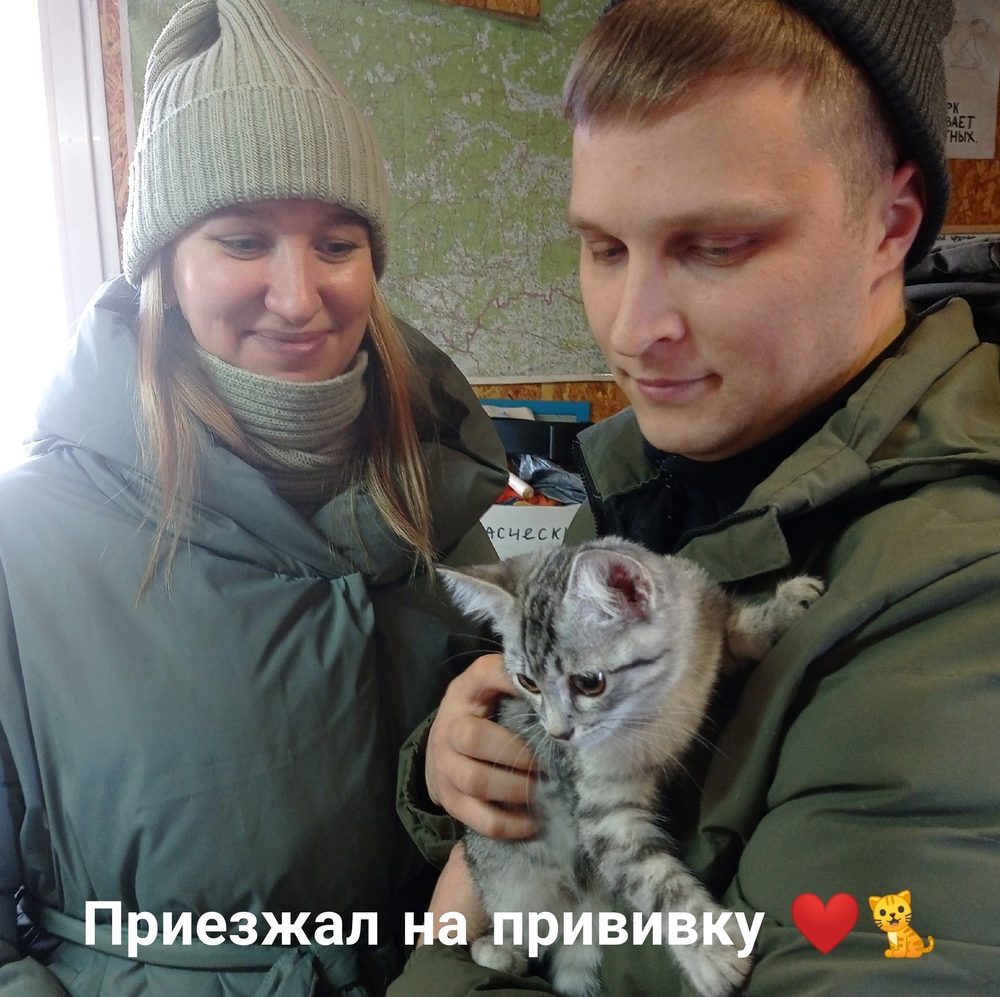 rLxALT09CW3kDSsq9kJnICDM2Oy30KW63kPP7slu