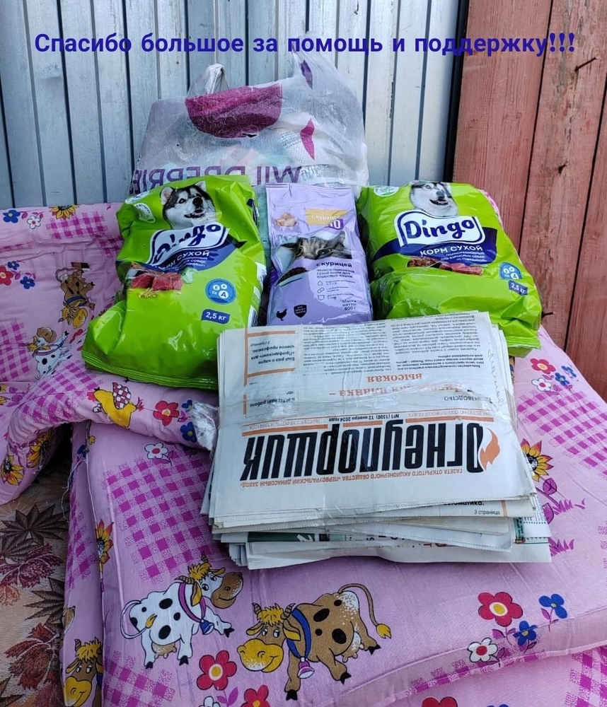 wF77izAPEWI5chgmCa7XH1z72EdL9Rh-woU98Sdi