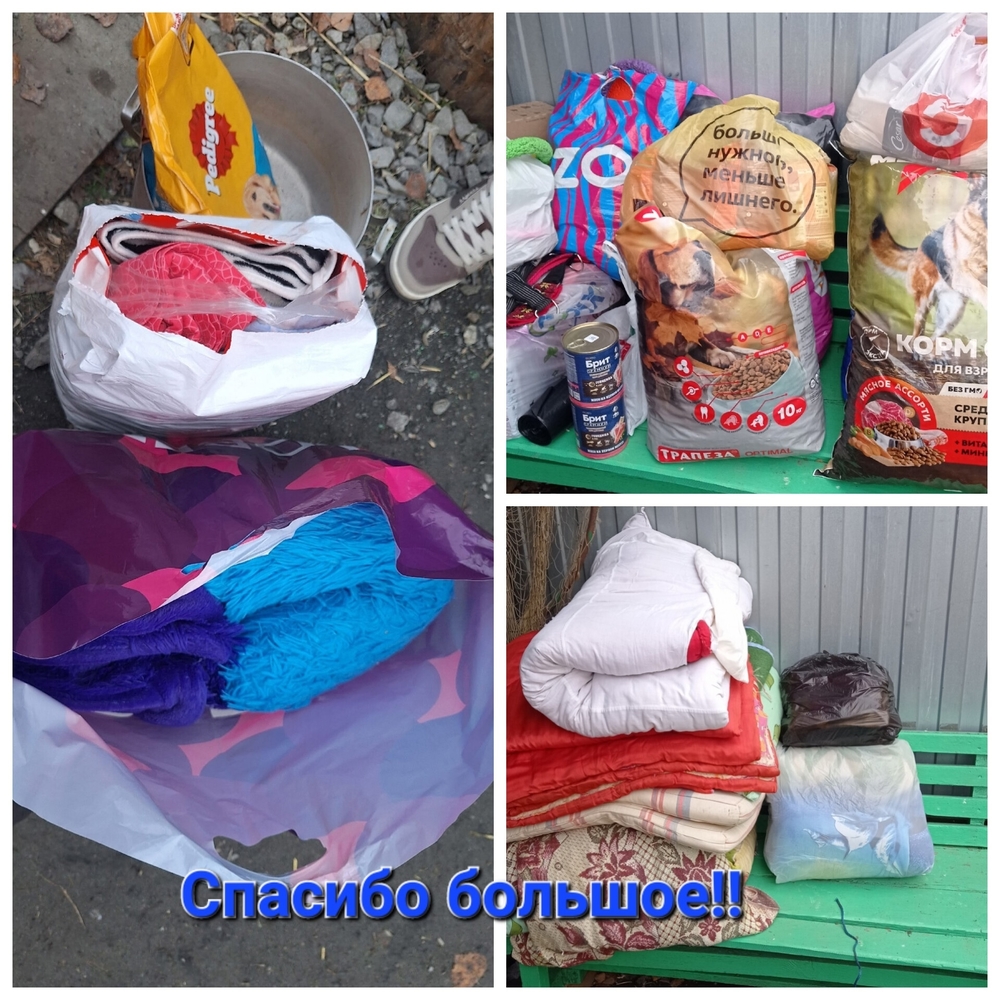 kQrBA2pUkZhnhI9R9fmBy_ZL8pZ3Zw66Y6WKe9Kr