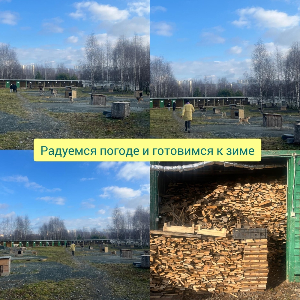 91e9B20nvfb-eDH2OSRx0-2VMHwjDSFeRo-bBQHp