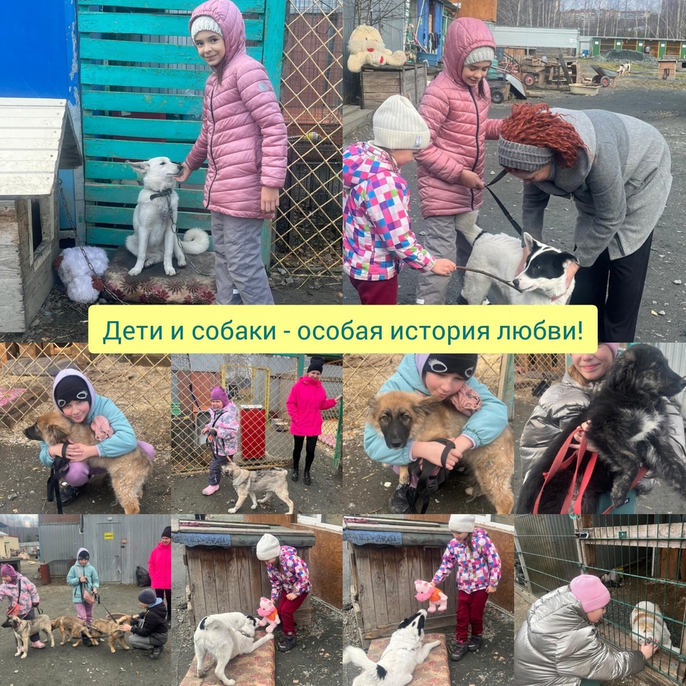 aDBci7lnZgMkFAtsRBqebu455wnFtMn8Se0l9CV_