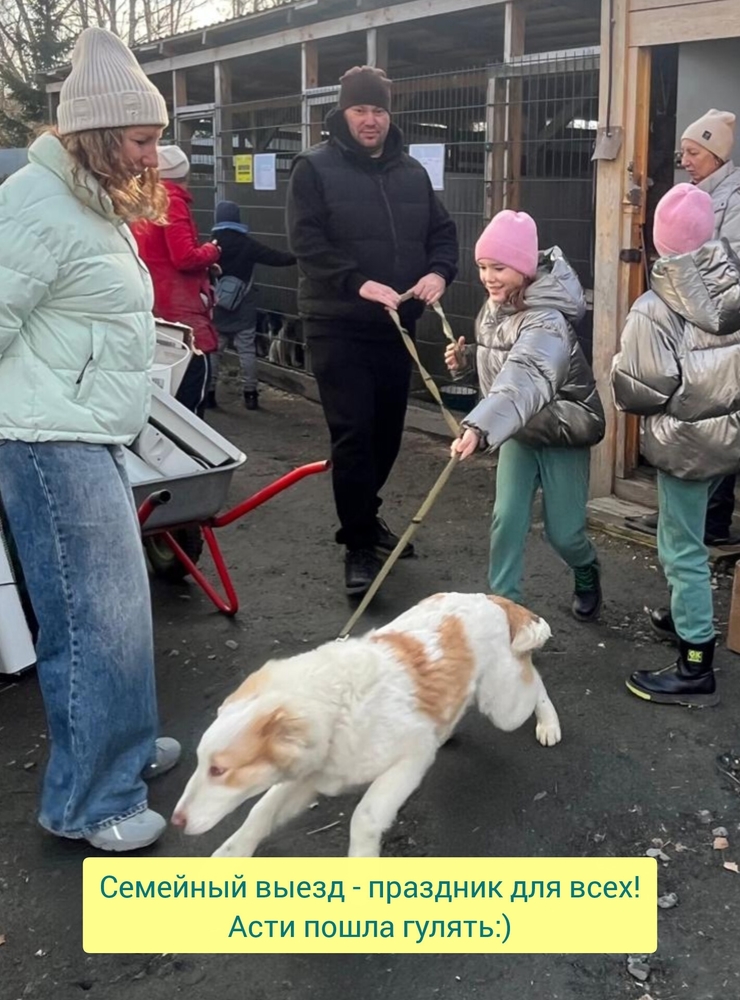 H1EDdlNrEs6_H4eq55YG5WHY09MTauGVPUcp045I