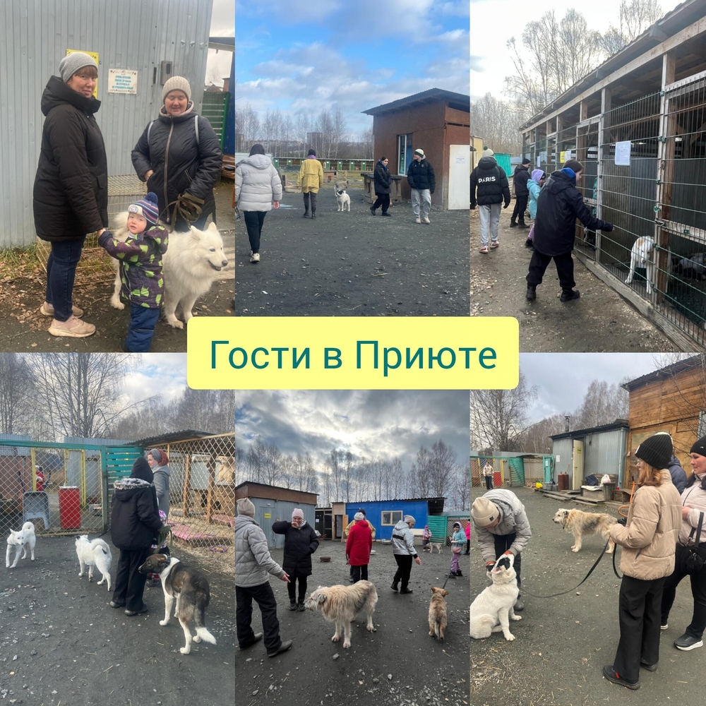 xSC4021v-7YyUQBm42a4Eb7xMdrgIpLHP3Bxkajj