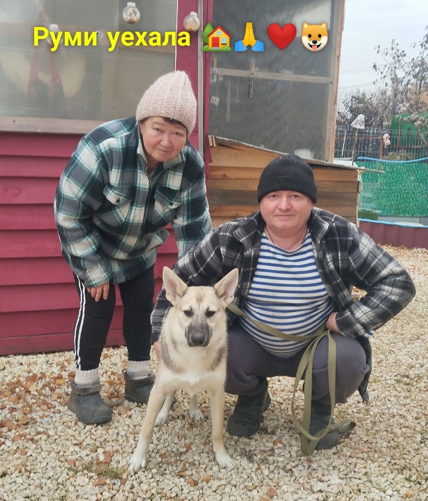 8EKNB8PrDXS1RGo2Q262TKOsfiKHzqyGfIHOCURA