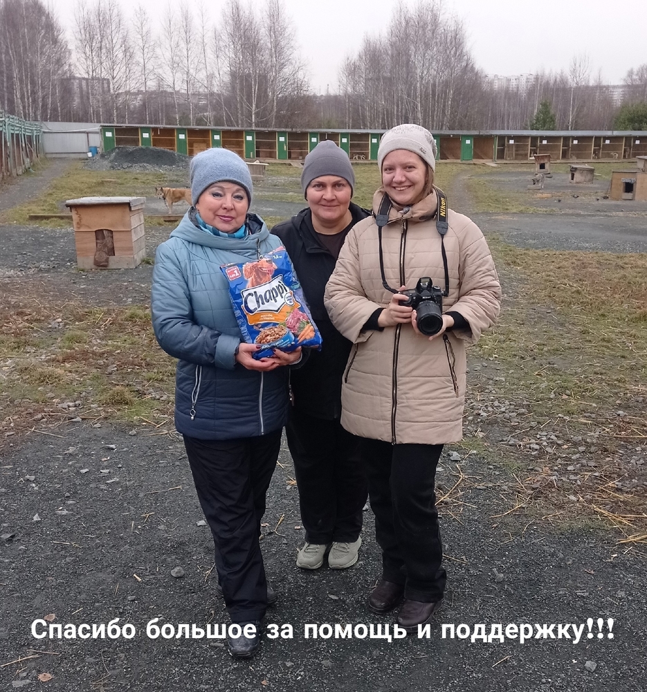 yWTpuxUn3tgz4UAkdOdoJuxoaktHWNIjweNwQ723