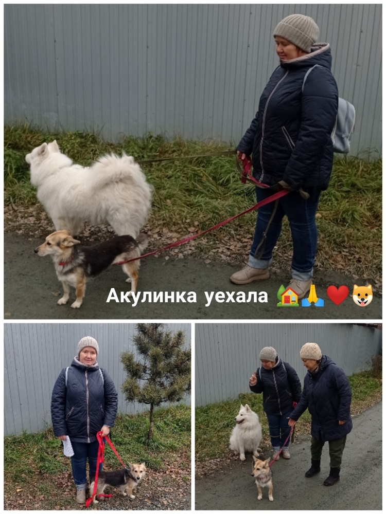 2A7k3EUJEprApmHYNhxxtMXp4oA_j6kXjNk4tRCS