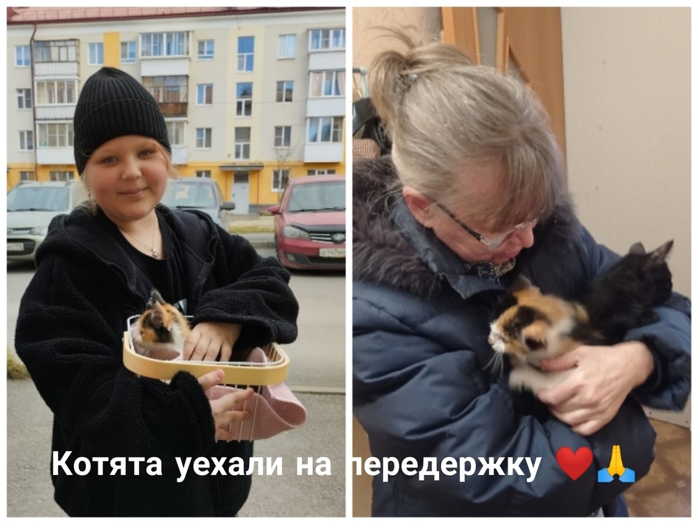 byIeuv3ms2uZDRZAPRIpNRgN9trhxma2R5SFeZEd