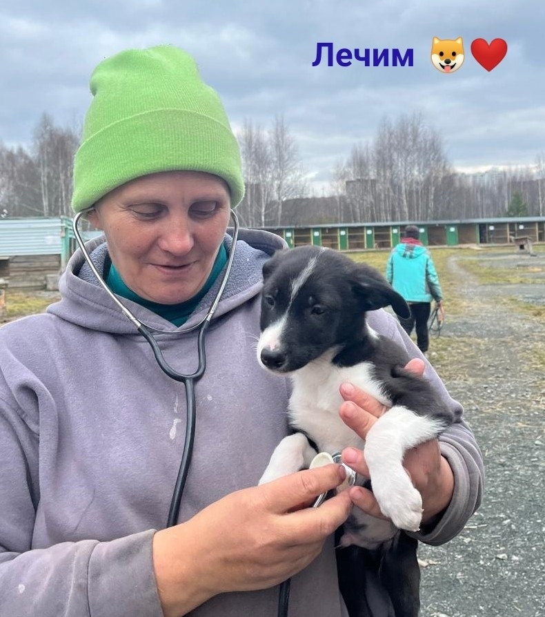 VgxN7HjsIGlyOrE5d4RlsqZnoP9jNexI3lWsxaTx