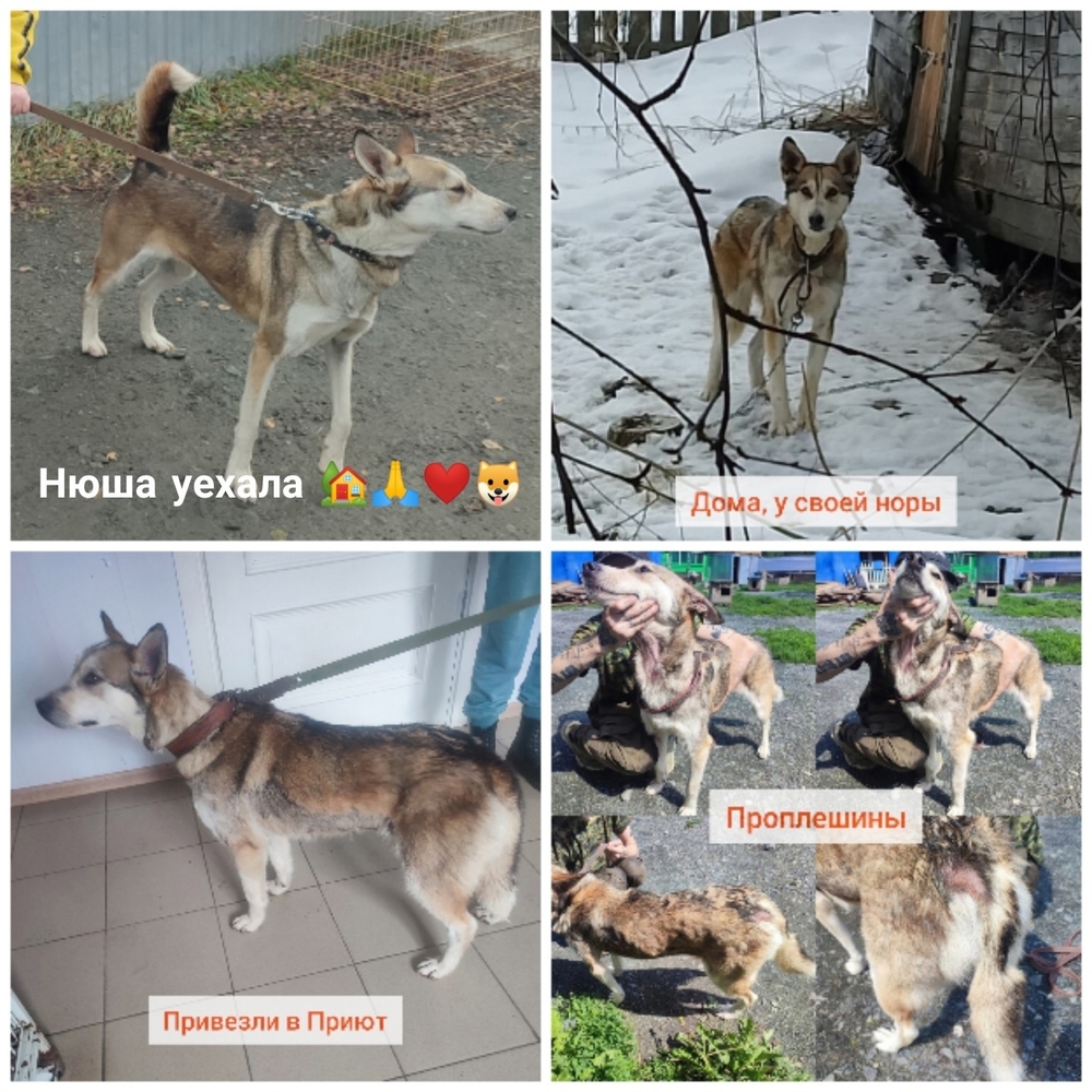 vJEcYcC88kFALm9rbg0w0EOU0GQfpSygno-ezdib