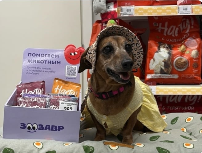 AuuceUcvMZWIHla0XXs8-HBke8VPSoh9kE4QF5Uk