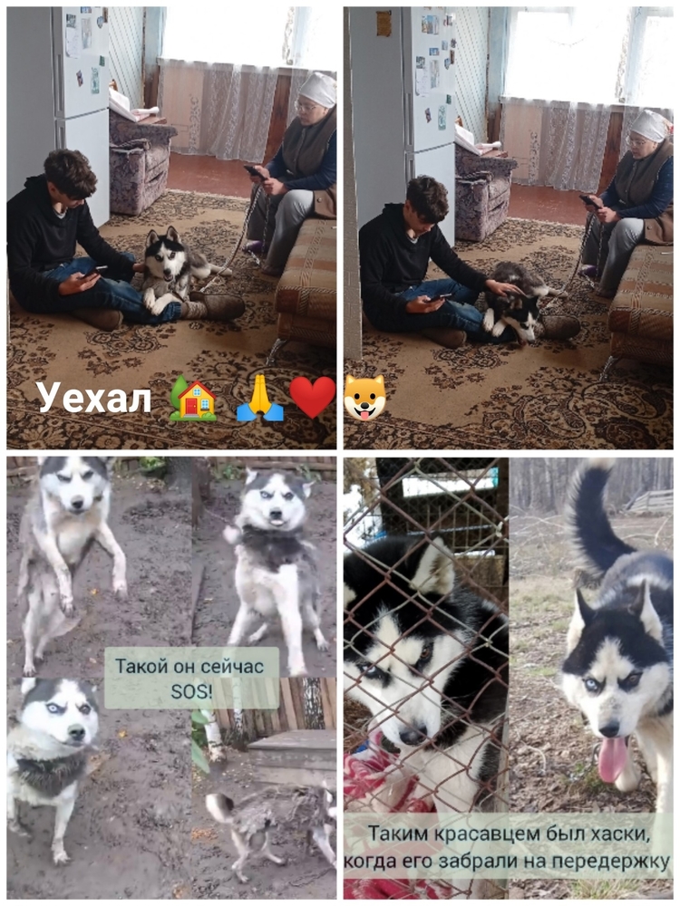 fRCyrmMQd1Ifqq-jh9D5h2iSVEgpfut2JzwnVtAH