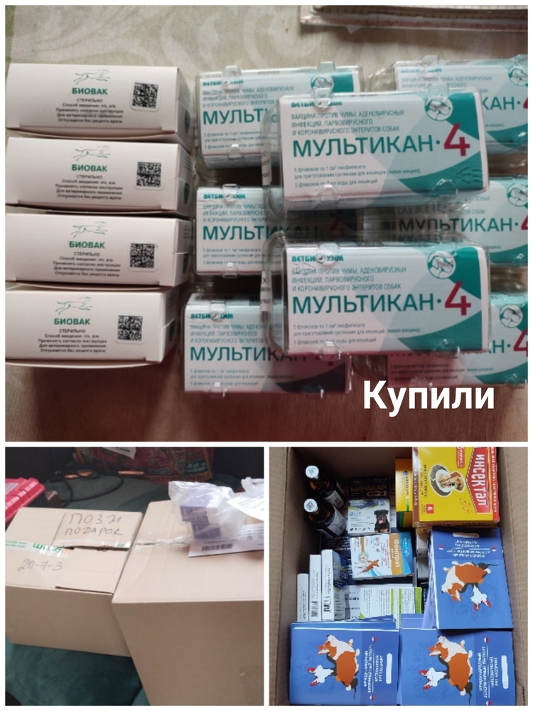 n7RI252b9P8I4fZFLzLe5U84RddHFyb-vXpZks0N