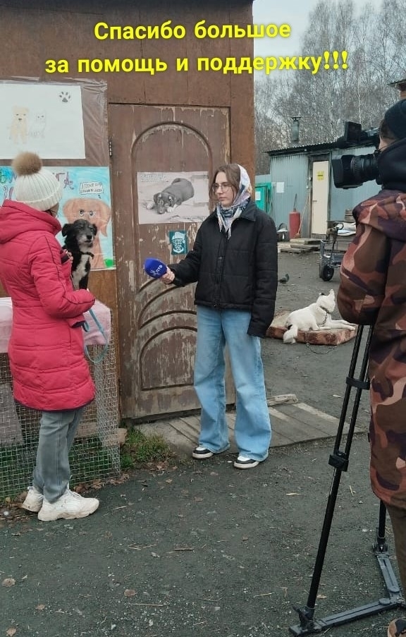 ohZqJV5fvYVNoYC1diN6QLvEK71WTueJ2shPQn79