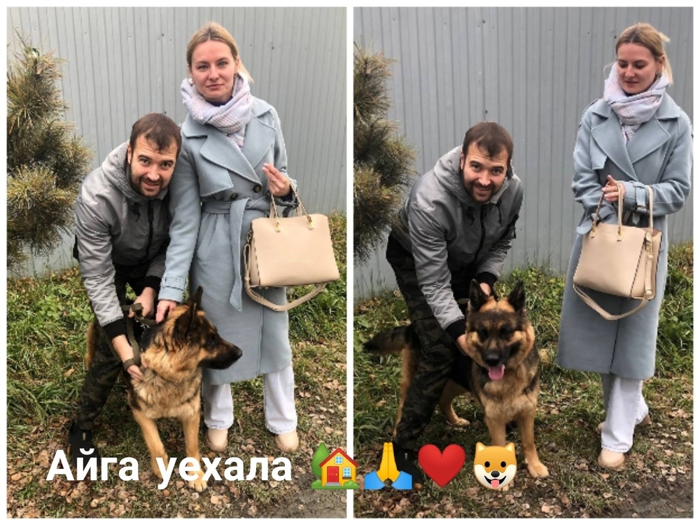 Pf9Z4CWms7qHLLQqmBhuX7Pu4ft48LjloLbQfkmD