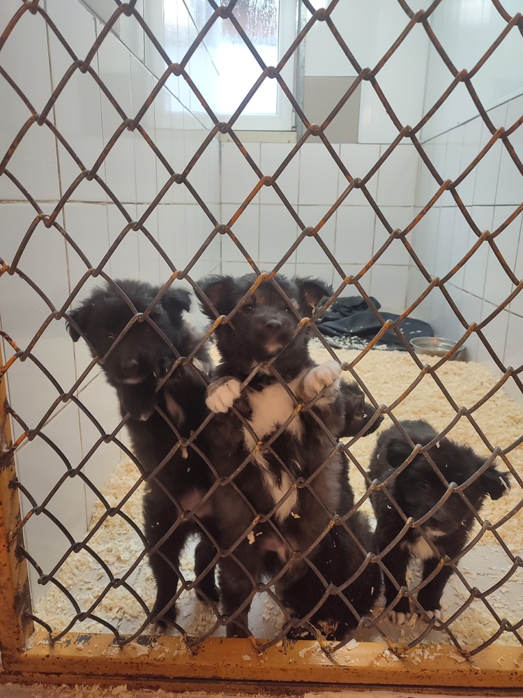 zF4wNOusI61uFsYbKpvqdXXVkDD9mFzTRJvzWt8n