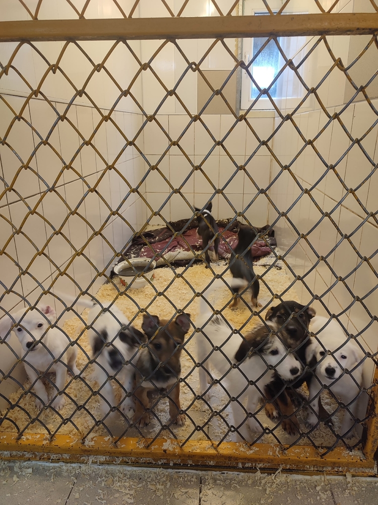 _RwtpL5PyPnZFvzNblVrouQvxZfsA58hEHqYhiM0