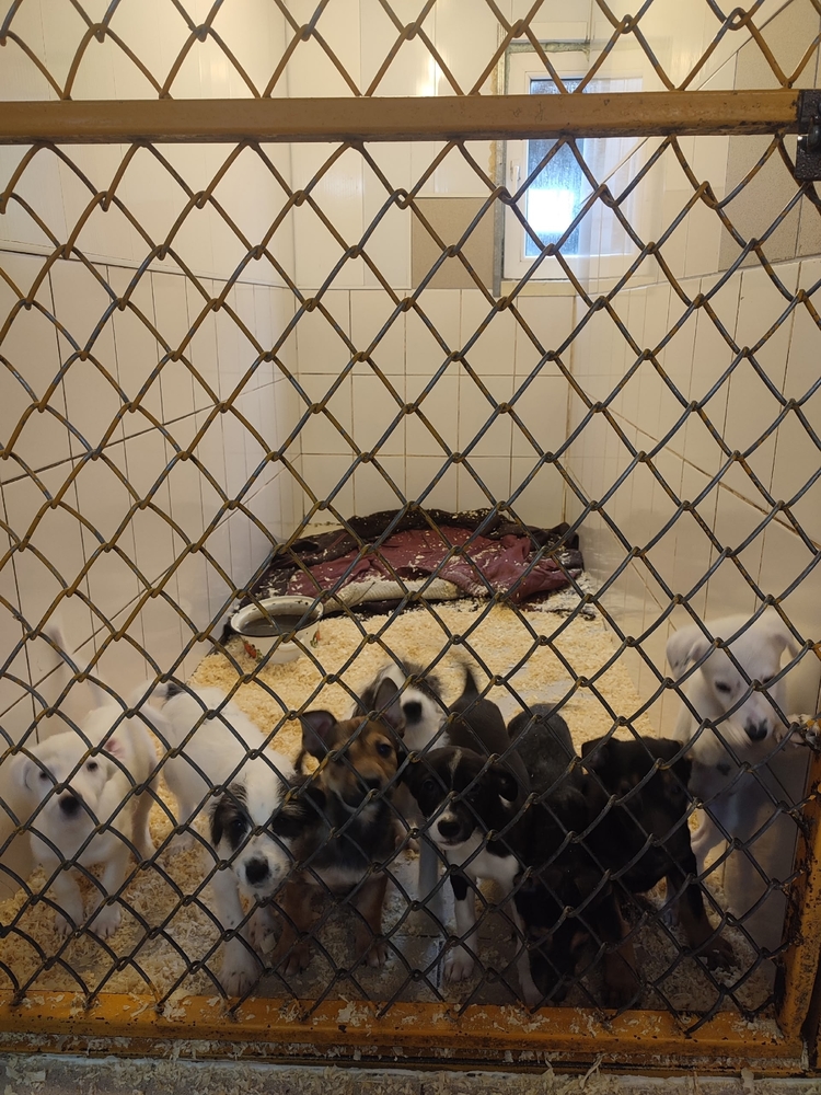 Cg-f7SbD1wA7xqXpqfFYaQ3-KSrQcU6bgAxe7Krt