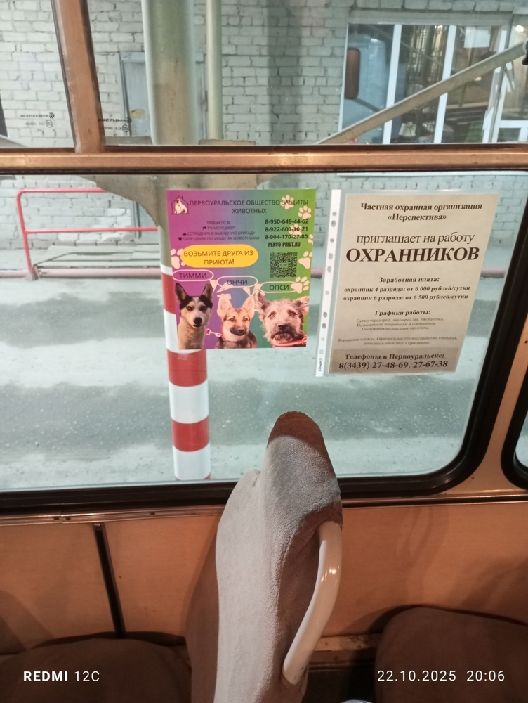 Kb5rI63-GKNwXMZn-EYHg9Bo5CKz46wDm6Vd2O6n