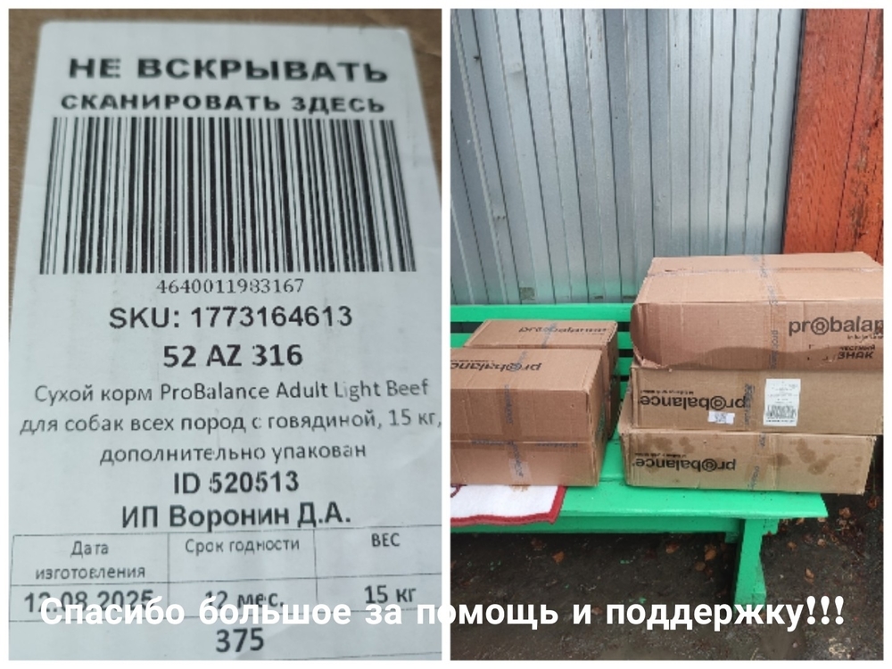 N8-3_lXlHkzLnTHiaoF0eE3LociF6kGvsc3l4LbG