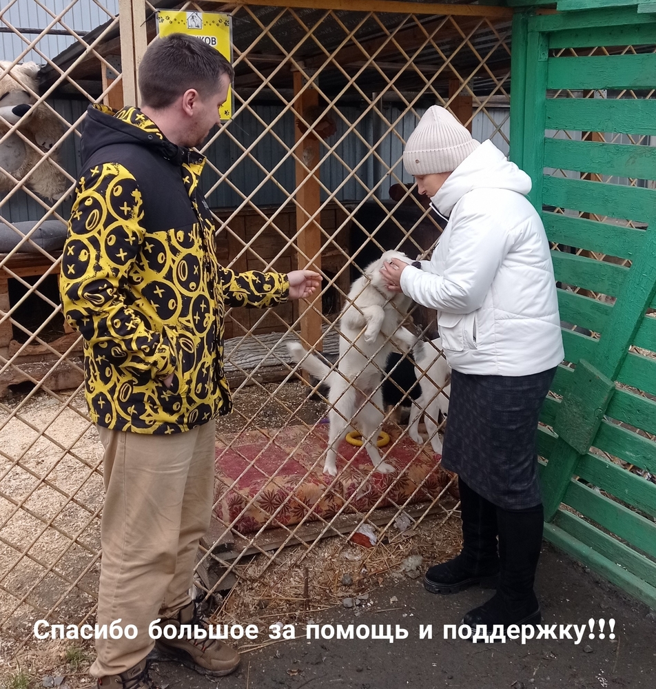 xWhd7oRo8B87et7AJl66ya6okyQaLHC5DNZs96o1