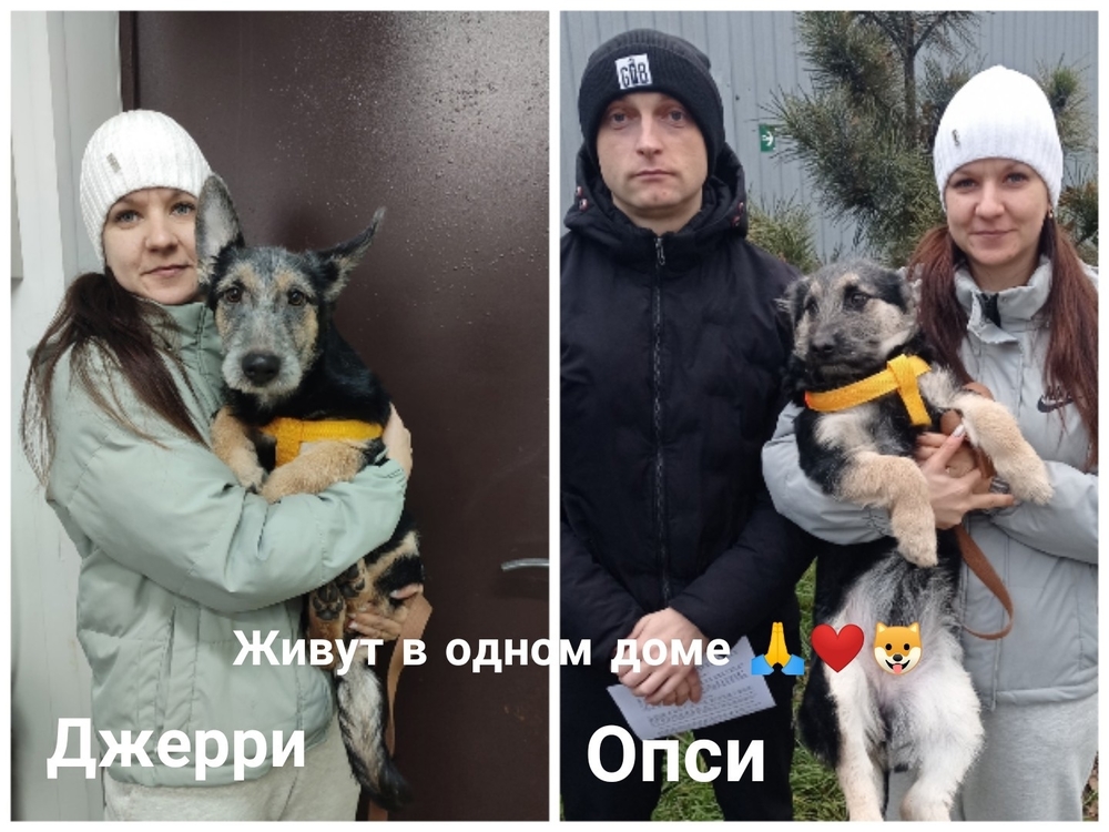 QOPDfQuk793cAwDUxddslYyibE98BXZEfX6qdpUp