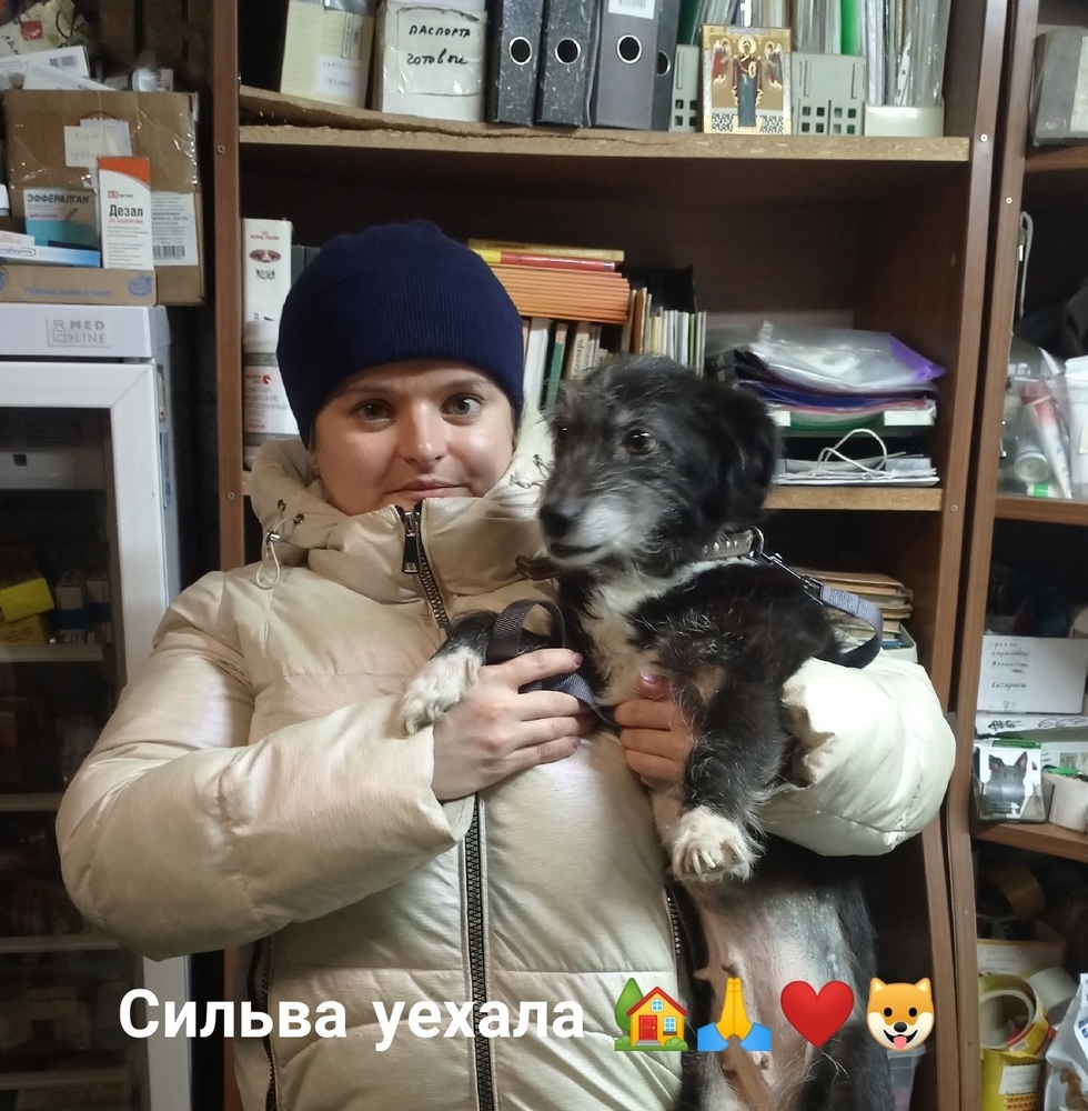 1LOWOdMzNGgCJjtTzBQ2-1op2y8NbIyToeew9OU9