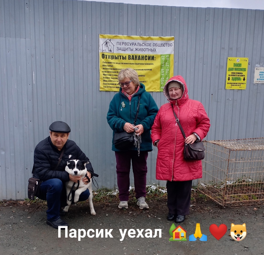 TTp32b89t4ye-qULxUBqVHnO5fM1joiv2CbFIM-S