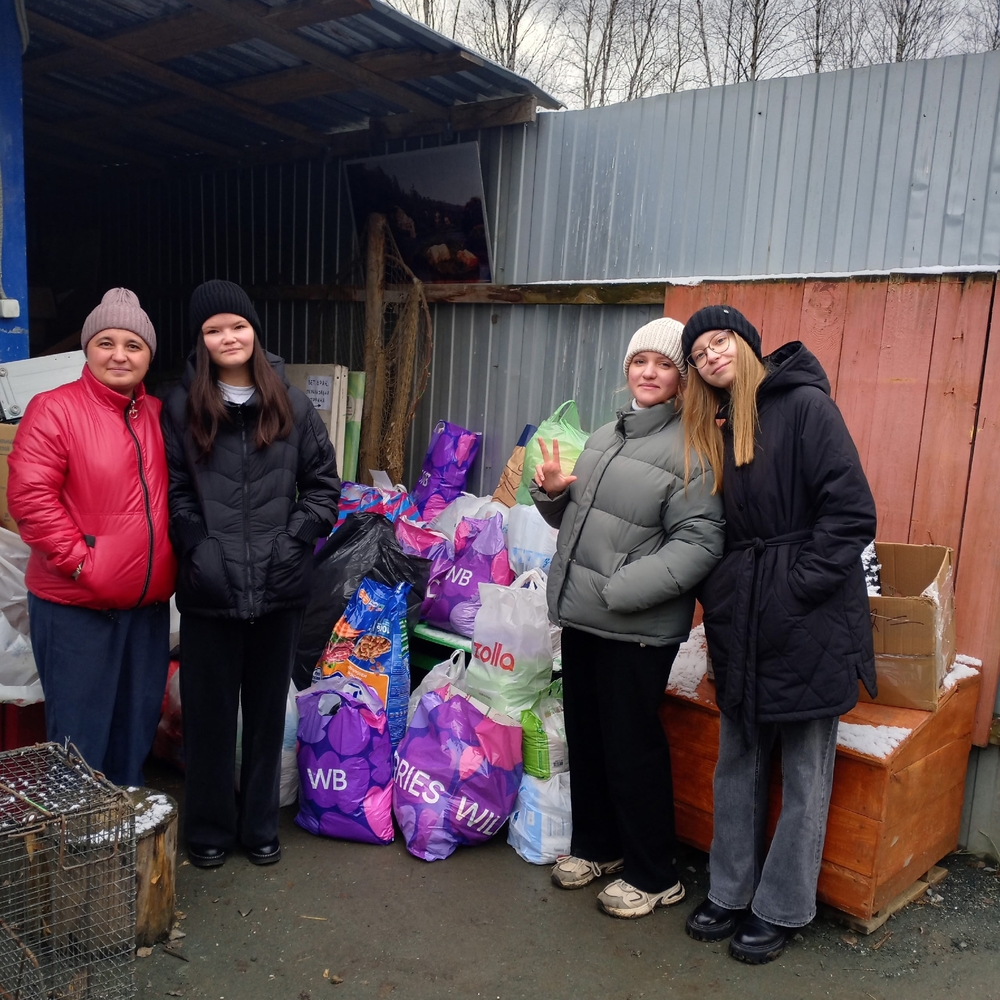 FaWrz5zeQ5ylNiTl-_3L2Haz34nxB8mB6wXMHMPq