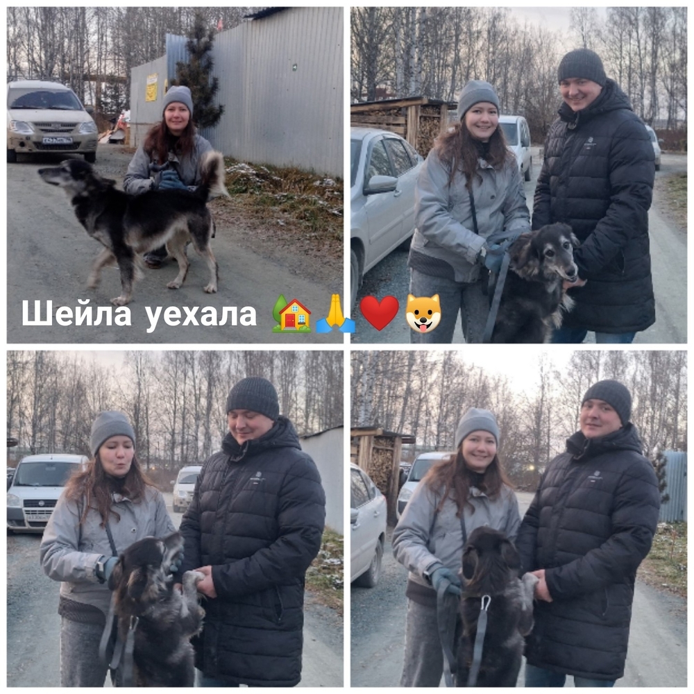 9sWXiY3-e_5nH_Dol_5V38Nn_DGO6jLGi4i2feMN