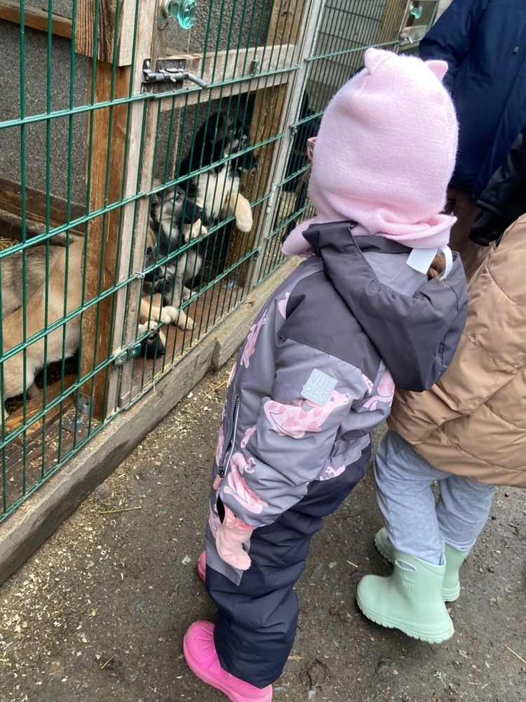 ImvN0WJ-budosak1Qym98EFPDqvPVGKEb5V37kbE