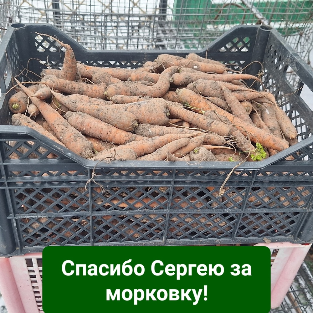 qiB0hrbP6jMdYFvWBxcs6cbmptZcRcBaesrLiWq0